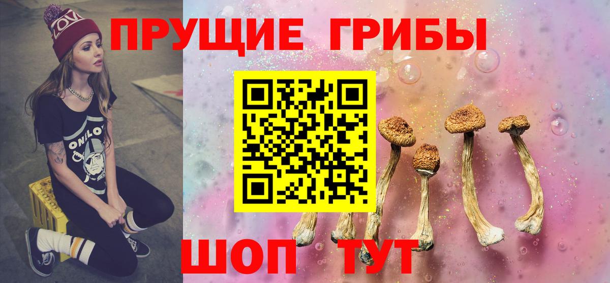 Псилоцибиновые грибы прущие грибы  Вход с VPN  Ипатово  Псилоцибиновые грибы Magic Shrooms 